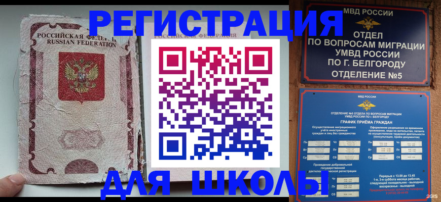прописка гарантия в Павловске